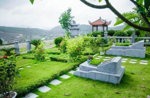 đất NTD là gì